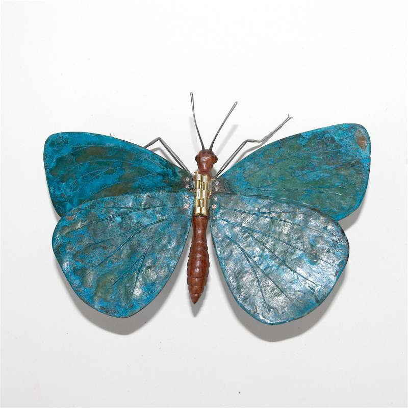 Folding Blue Butterfly - aerial view